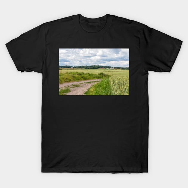 Dirt Road T-Shirt by ansaharju